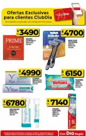 Folleto Supermercados DIA semana 3 Página 46