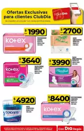 Folleto Supermercados DIA semana 3 Página 47