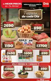 Folleto Supermercados DIA semana 3 Página 5