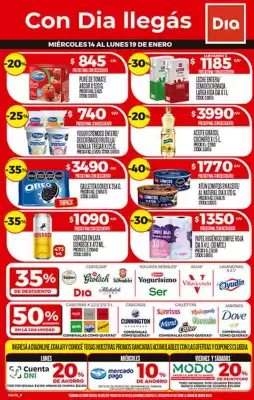 Folleto Supermercados DIA (válido hasta 19-01)