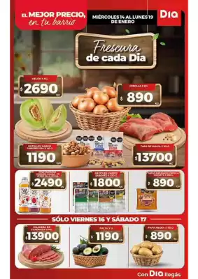 Folleto Supermercados DIA (válido hasta 19-01)