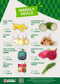 Amazing Oriëntal folder week 3 Pagina 1