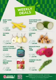 Amazing Oriëntal folder week 3 Pagina 1