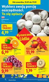 Lidl gazetka Strona 22