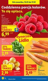Lidl gazetka Strona 24