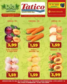 Tabloide Tatico Página 29