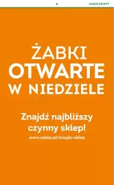 Żabka gazetka Strona 39