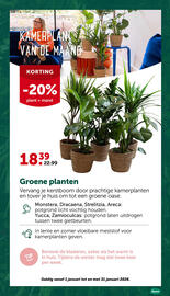 AVEVE folder Pagina 12