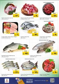 Nesto catalogue Page 14