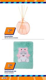 Action folder week 3 Pagina 29