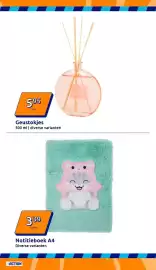 Action folder week 3 Pagina 29