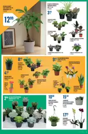 Canac flyer week 3 Page 4