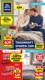 Hofer Flugblatt Seite 1