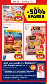 Hofer Flugblatt Seite 11