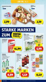 Hofer Flugblatt Seite 12