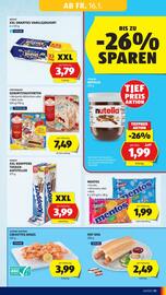 Hofer Flugblatt Seite 13