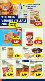 Hofer Flugblatt Seite 14