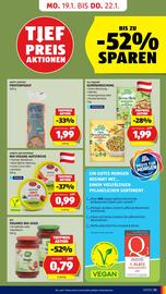 Hofer Flugblatt Seite 15