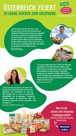 Hofer Flugblatt Seite 20