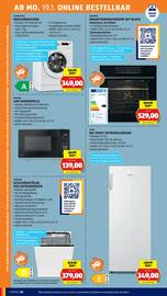 Hofer Flugblatt Seite 30