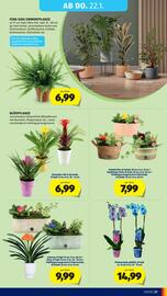 Hofer Flugblatt Seite 31