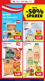 Hofer Flugblatt Seite 9