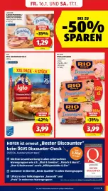 Hofer Flugblatt Seite 11