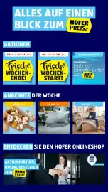 Hofer Flugblatt Seite 2