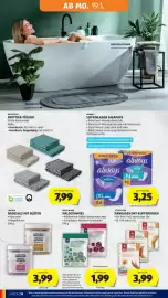 Hofer Flugblatt Seite 22