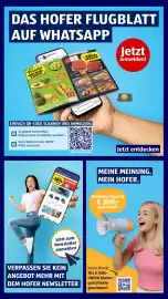 Hofer Flugblatt Seite 3