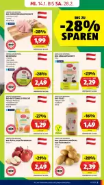 Hofer Flugblatt Seite 5