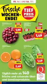 Hofer Flugblatt Seite 6