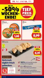 Hofer Flugblatt Seite 8