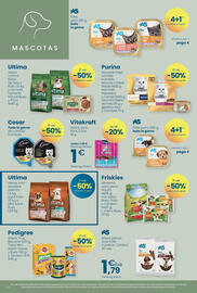 Folleto Clarel Página 8