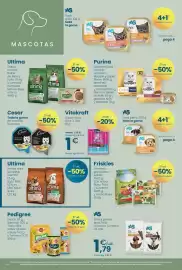 Folleto Clarel Página 8