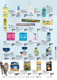 CITTI Markt Prospekt woche 3 Seite 14