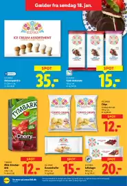 Lidl tilbudsavis uge 4 Side 13