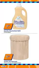 Action Flugblatt woche 3 Seite 13