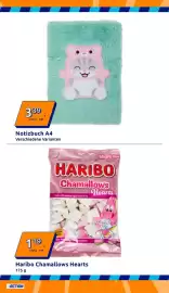 Action Flugblatt woche 3 Seite 26