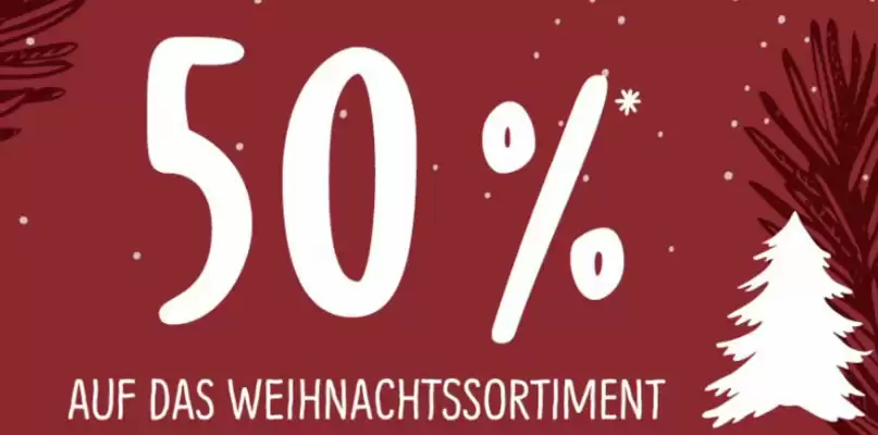 Schleudermaxx Prospekt (gültig bis 31-01)