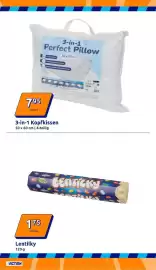 Action Prospekt woche 3 Seite 17