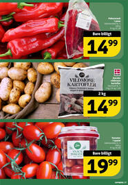 Løvbjerg tilbudsavis uge 3 Side 19