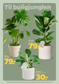 Netto tilbudsavis uge 3 Side 25