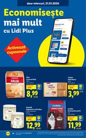 Catalog Lidl săptămâna 4 Pagină 42