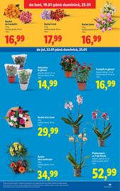 Catalog Lidl săptămâna 4 Pagină 45