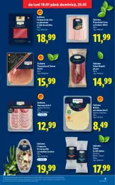 Catalog Lidl săptămâna 4 Pagină 17