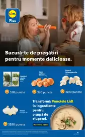Catalog Lidl săptămâna 4 Pagină 41
