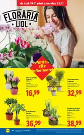Catalog Lidl săptămâna 4 Pagină 44