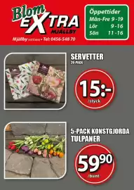 Extra Mjällby Stormarknad reklamblad vecka 3 Sida 15