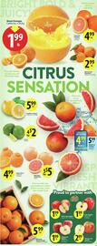 Save on Foods flyer week 3 Page 3